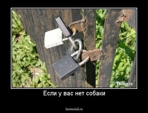 Если у вас нет собаки