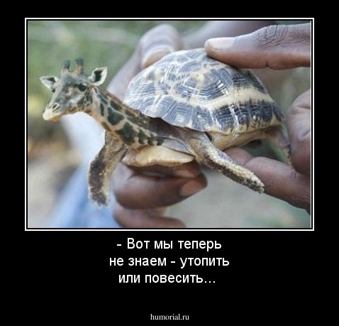 - Вот мы теперь не знаем - утопить или повесить...