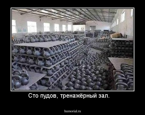 Сто пудов, тренажёрный зал.    