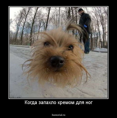 Когда запахло кремом для ног