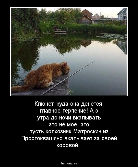 Клюнет, куда она денется, главное терпение! А с утра до ночи вкалывать это не мое, это пусть колхозник Матроскин из Простоквашино вкалывает за своей коровой.