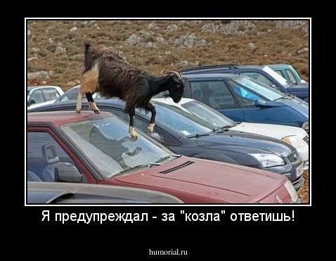 Я предупреждал - за "козла" ответишь!