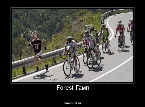Forest Гамп