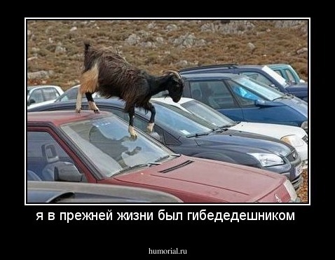 я в прежней жизни был гибедедешником 