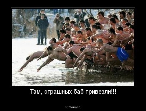Там, страшных баб привезли!!!