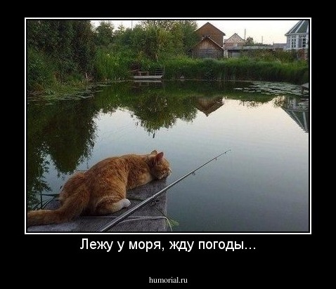 Лежу у моря, жду погоды...