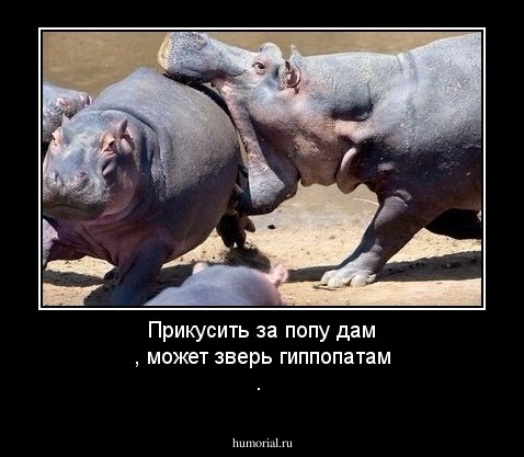 Прикусить за попу дам , может зверь гиппопатам .