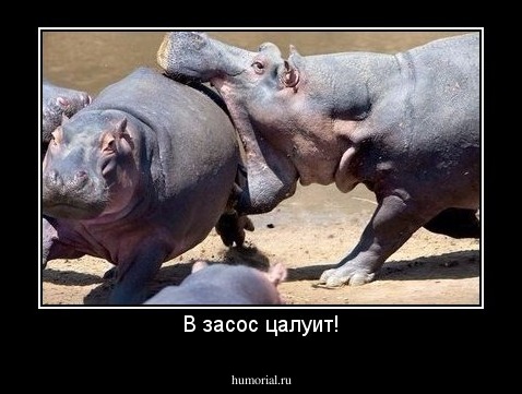 В засос цалуит!