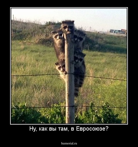Ну, как вы там, в Евросоюзе?