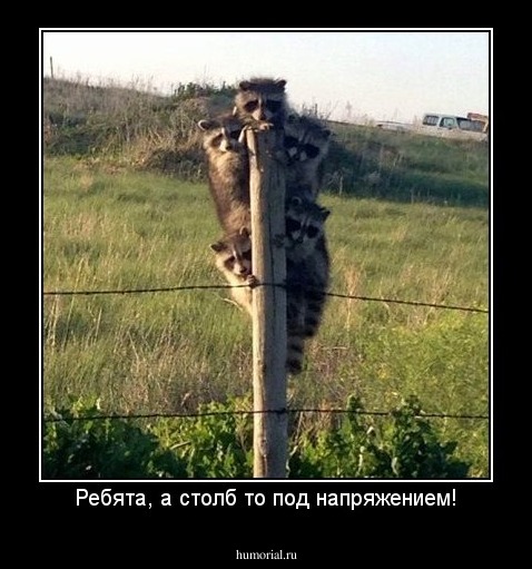 Ребята, а столб то под напряжением!