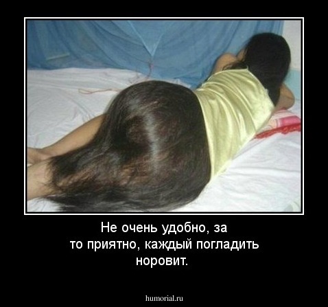 Не очень удобно, за то приятно, каждый погладить норовит.