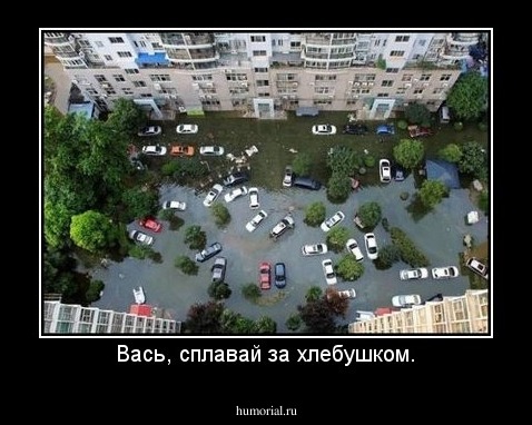 Вась, сплавай за хлебушком.