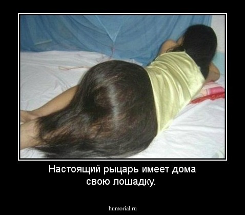 Настоящий рыцарь имеет дома свою лошадку.