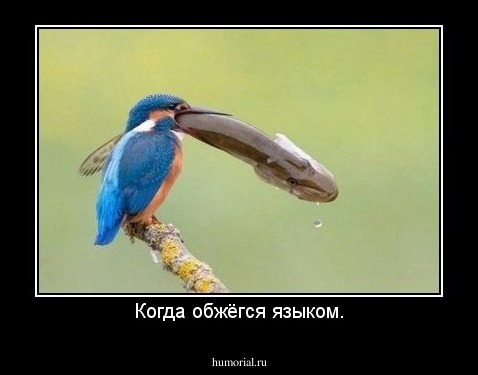 Когда обжёгся языком.