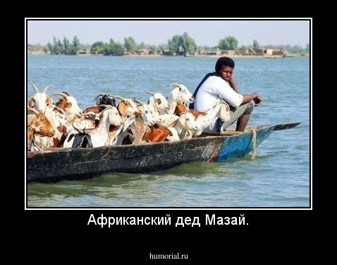 Африканский дед Мазай.