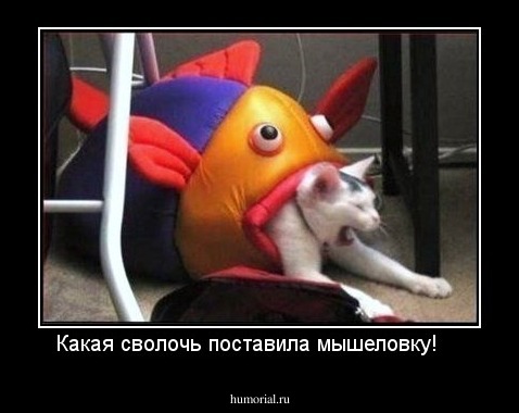 Какая сволочь поставила мышеловку!    