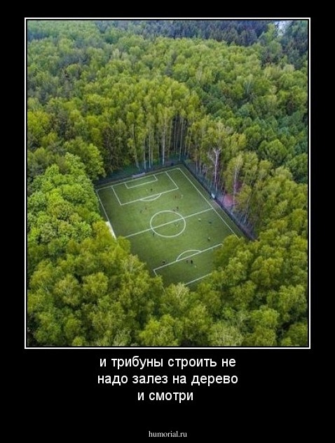 и трибуны строить не надо залез на дерево и смотри 