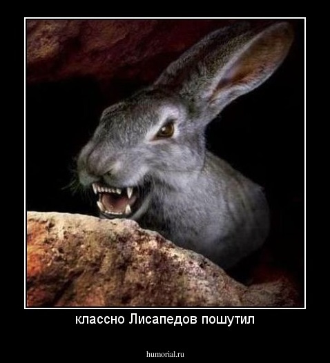классно Лисапедов пошутил