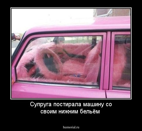 Супруга постирала машину со своим нижним бельём 