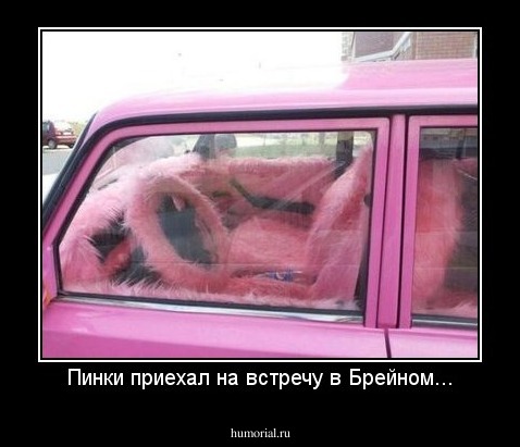 Пинки приехал на встречу в Брейном...