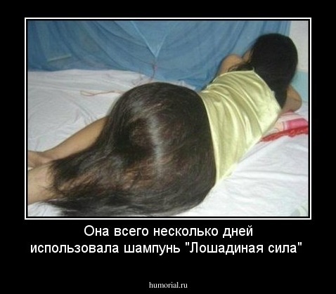 Она всего несколько дней использовала шампунь "Лошадиная сила"