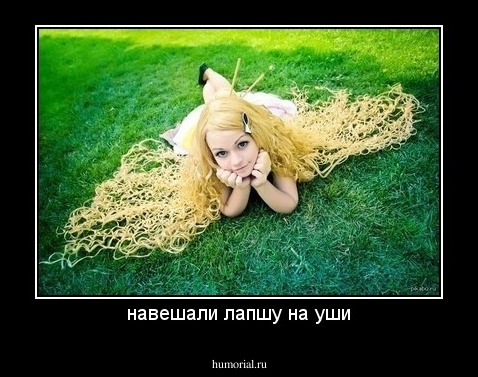 навешали лапшу на уши