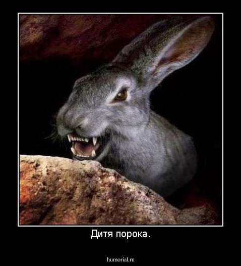 Дитя порока.