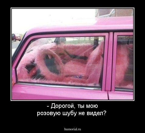 -  Дорогой, ты мою розовую шубу не видел?