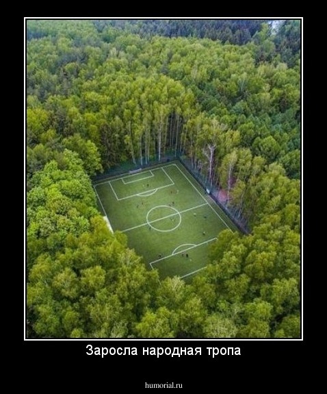 Заросла народная тропа
