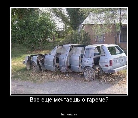Все еще мечтаешь о гареме?