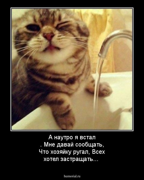 А наутро я встал .
Мне давай сообщать,
Что хозяйку ругал,
Всех хотел застращать...