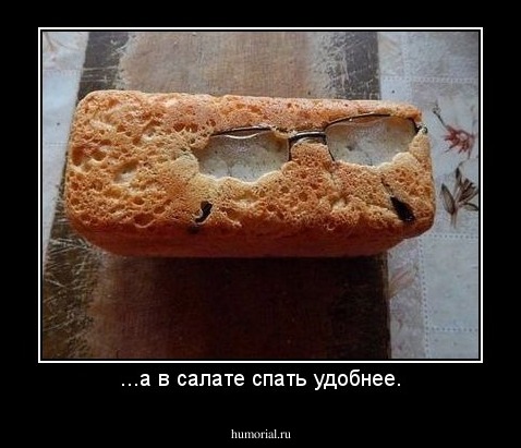 ...а в салате спать удобнее.