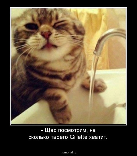 - Щас посмотрим, на сколько твоего Gillette хватит.