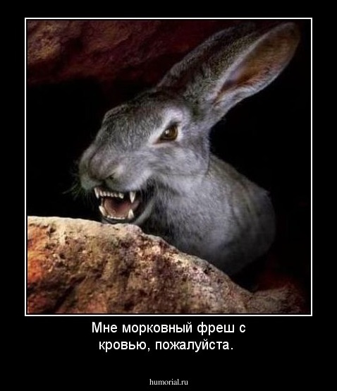  Мне морковный фреш с кровью, пожалуйста.