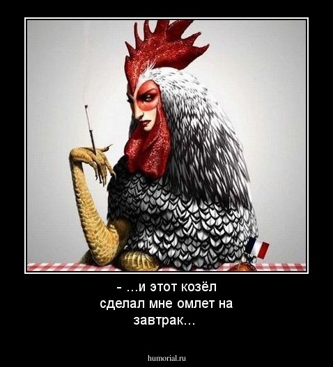 - ...и этот козёл сделал мне омлет на завтрак...