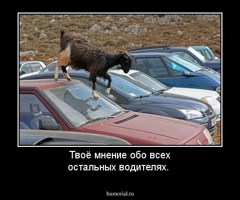 Твоё мнение обо всех остальных водителях.