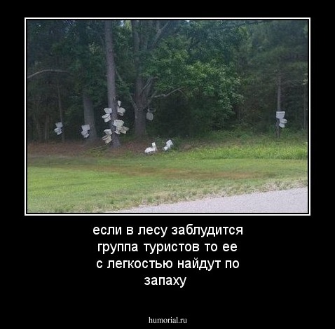 если в лесу заблудится группа туристов то ее с легкостью найдут по запаху