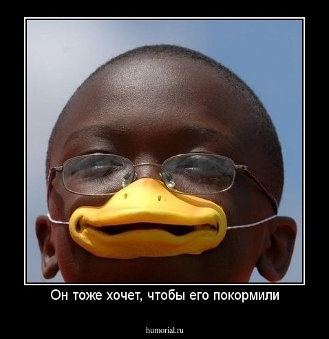 Он тоже хочет, чтобы его покормили