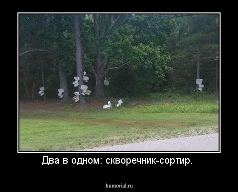Два в одном: скворечник-сортир. 