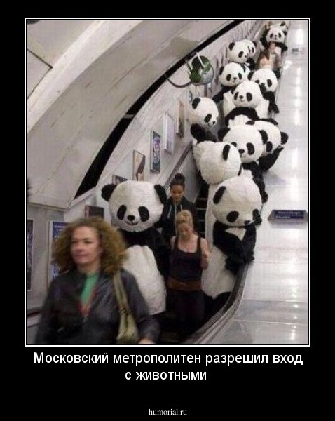 Московский метрополитен разрешил вход с животными