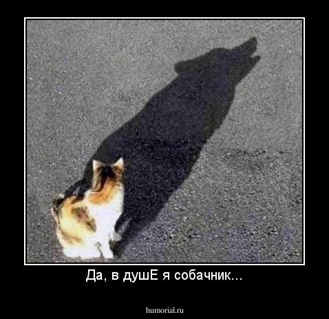 Да, в душЕ я собачник...