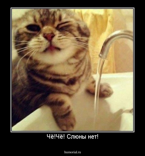 Чё!Чё! Слюны нет!