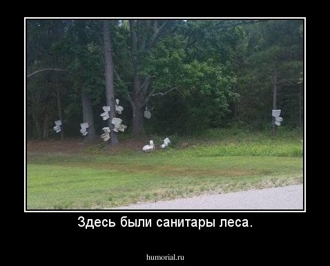 Здесь были санитары леса.