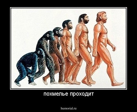похмелье проходит