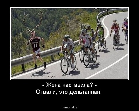 - Жена наставила? - Отвали, это дельтаплан.