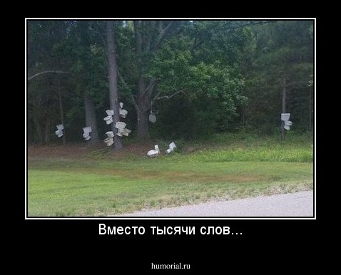 Вместо тысячи слов...
