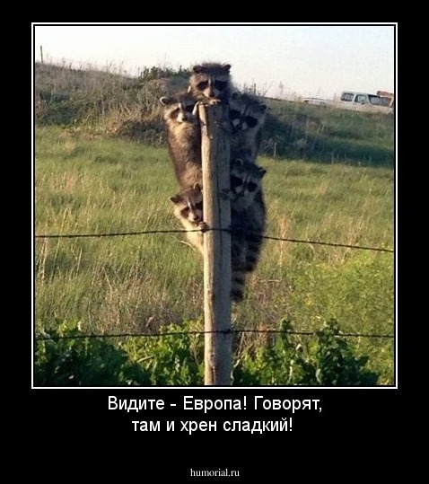 Видите - Европа! Говорят, там  и хрен сладкий! 