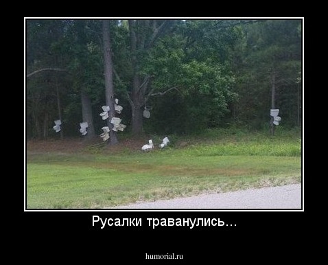 Русалки траванулись...