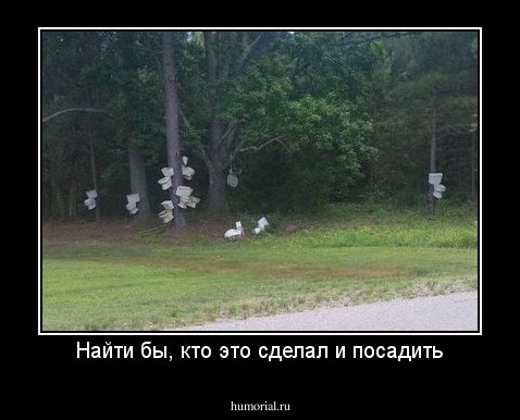 Найти бы, кто это сделал и посадить