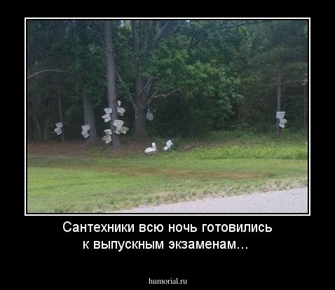 Сантехники всю ночь готовились к выпускным экзаменам...